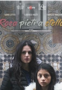 Rosa Pietra Stella (2021)